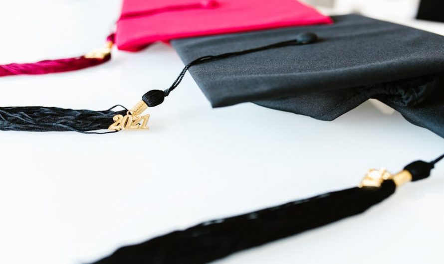 Купить диплом с занесением в реестр России быстро